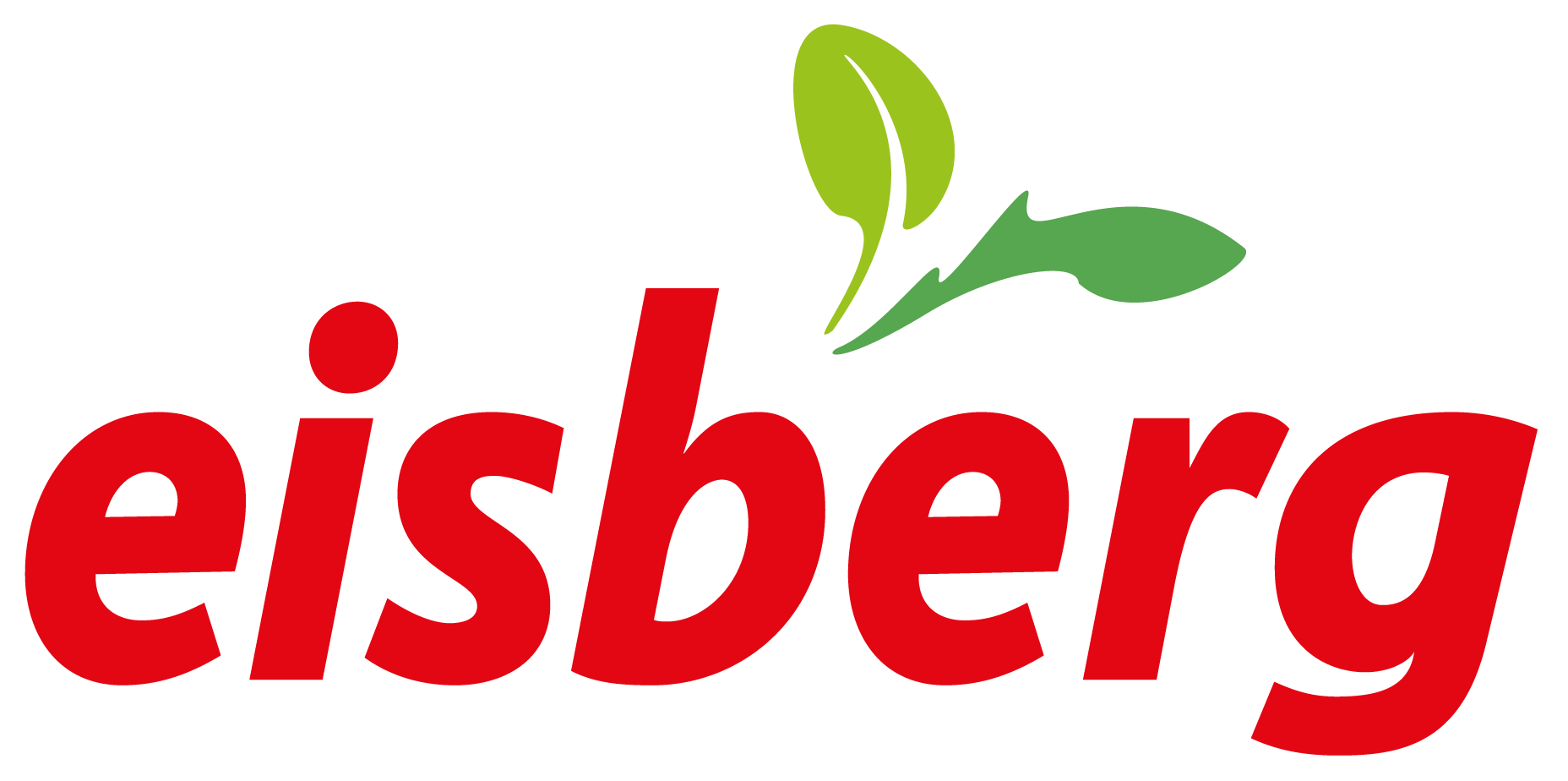 EISBERG_2023_logo_1.1.2024