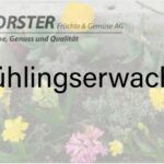 Frühling_Titel